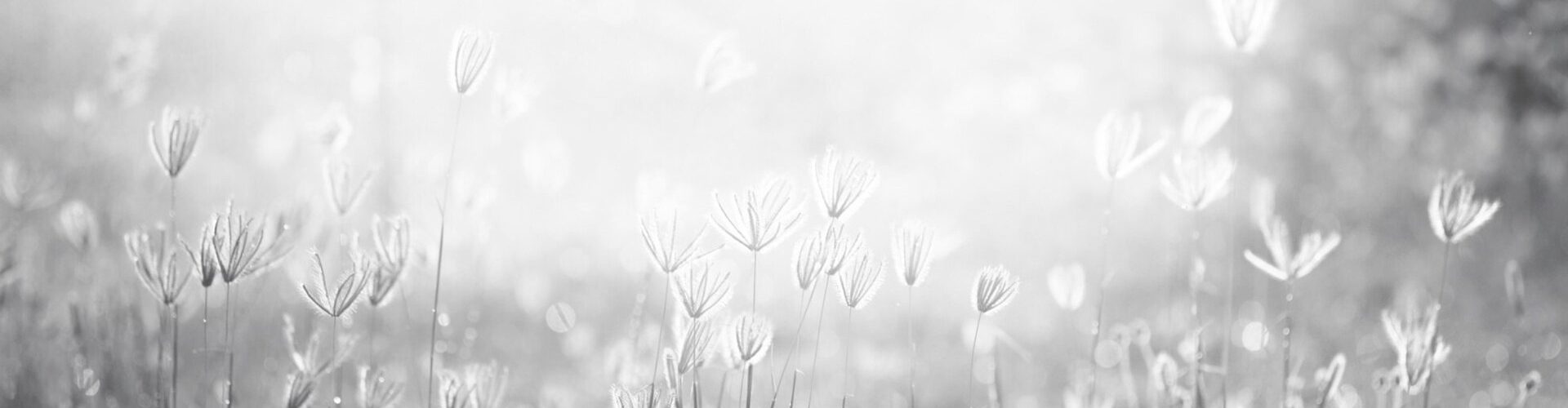 스크린샷 2025-11-06 오후 3.18.29